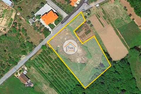 Helårsgrund i Viseu, Viseu, Viseu - € 160.000 | Ref: TC2394 - foto 15