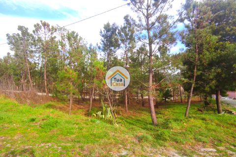 Helårsgrund i Viseu, Viseu, Viseu - € 27.000 | Ref: TC2383 - foto 1