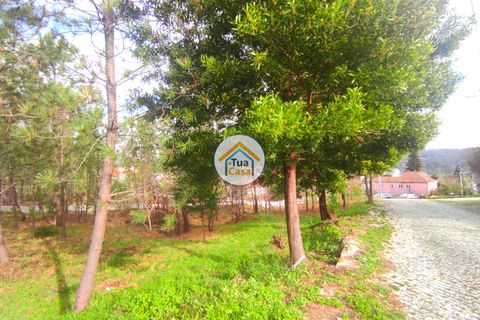 Helårsgrund i Viseu, Viseu, Viseu - € 27.000 | Ref: TC2383 - foto 2