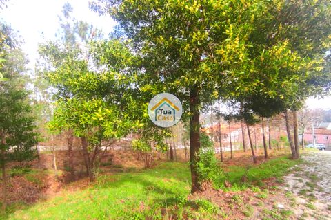 Helårsgrund i Viseu, Viseu, Viseu - € 27.000 | Ref: TC2383 - foto 4