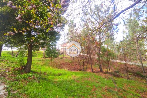Helårsgrund i Viseu, Viseu, Viseu - € 27.000 | Ref: TC2383 - foto 5