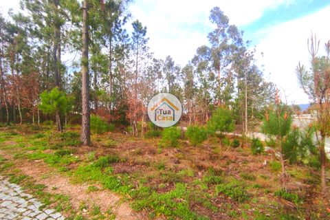 Helårsgrund i Viseu, Viseu, Viseu - € 27.000 | Ref: TC2383 - foto 6