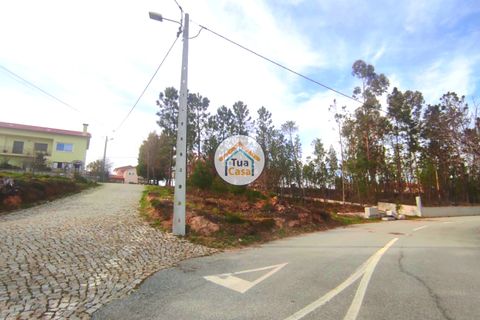 Helårsgrund i Viseu, Viseu, Viseu - € 27.000 | Ref: TC2383 - foto 8