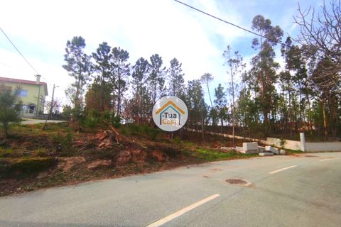 Helårsgrund i Viseu, Viseu, Viseu - € 27.000 | Ref: TC2383 - foto 9