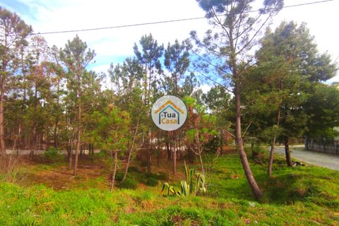 Helårsgrund i Viseu, Viseu, Viseu - € 27.000 | Ref: TC2383 - foto 10