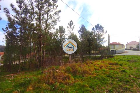 Helårsgrund i Viseu, Viseu, Viseu - € 27.000 | Ref: TC2383 - foto 11