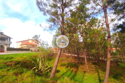 Helårsgrund i Viseu, Viseu, Viseu - € 27.000 | Ref: TC2383 - foto 12