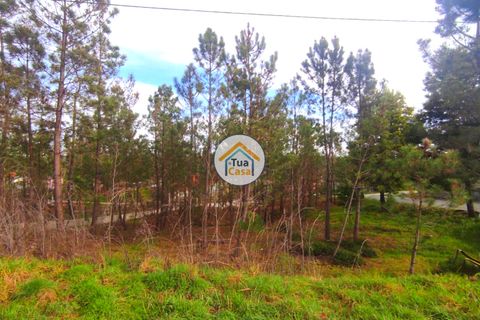 Helårsgrund i Viseu, Viseu, Viseu - € 27.000 | Ref: TC2383 - foto 13