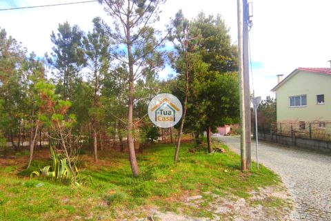 Helårsgrund i Viseu, Viseu, Viseu - € 27.000 | Ref: TC2383 - foto 14