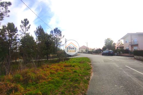 Helårsgrund i Viseu, Viseu, Viseu - € 27.000 | Ref: TC2383 - foto 15