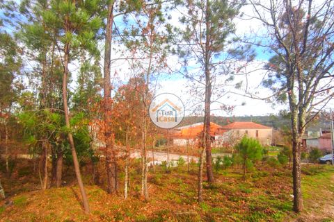 Helårsgrund i Viseu, Viseu, Viseu - € 27.000 | Ref: TC2383 - foto 16