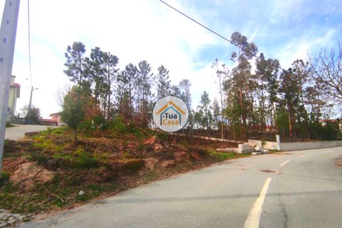 Helårsgrund i Viseu, Viseu, Viseu - € 27.000 | Ref: TC2383 - foto 19
