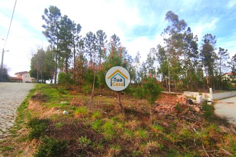 Helårsgrund i Viseu, Viseu, Viseu - € 27.000 | Ref: TC2383 - foto 20