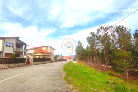 Helårsgrund i Viseu, Viseu, Viseu - € 27.000 | Ref: TC2383 - foto 21