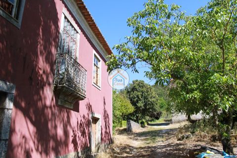 Farm i Viseu, Viseu, Viseu - € 1.900.000 | Ref: TC2533 - foto 3