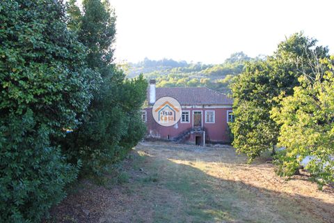 Farm i Viseu, Viseu, Viseu - € 1.900.000 | Ref: TC2533 - foto 5