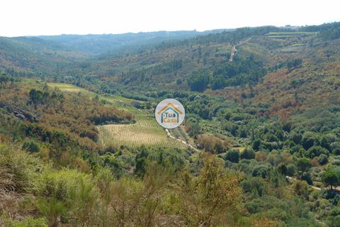 Farm i Viseu, Viseu, Viseu - € 1.900.000 | Ref: TC2533 - foto 6