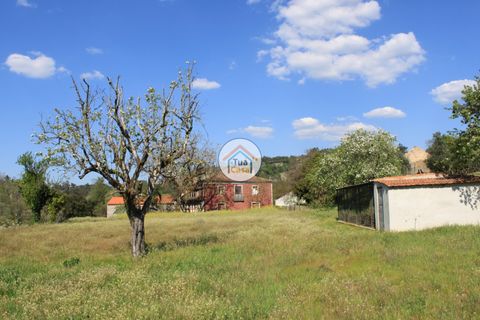 Farm i Viseu, Viseu, Viseu - € 1.900.000 | Ref: TC2533 - foto 7