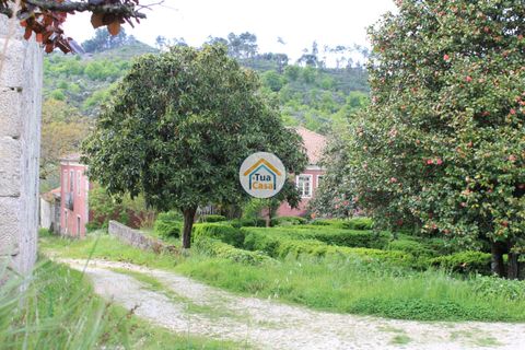 Farm i Viseu, Viseu, Viseu - € 1.900.000 | Ref: TC2533 - foto 8