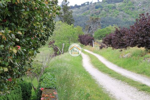 Farm i Viseu, Viseu, Viseu - € 1.900.000 | Ref: TC2533 - foto 9