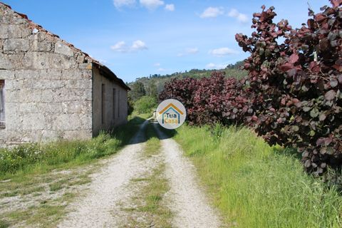 Farm i Viseu, Viseu, Viseu - € 1.900.000 | Ref: TC2533 - foto 10