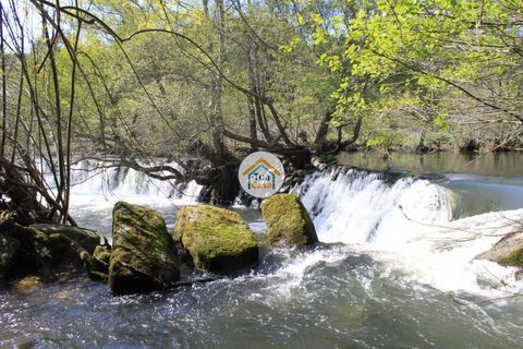 Farm i Viseu, Viseu, Viseu - € 1.900.000 | Ref: TC2533 - foto 14