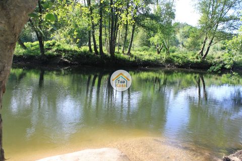 Farm i Viseu, Viseu, Viseu - € 1.900.000 | Ref: TC2533 - foto 15