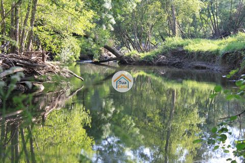 Farm i Viseu, Viseu, Viseu - € 1.900.000 | Ref: TC2533 - foto 16