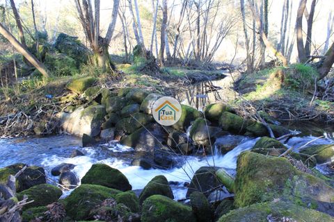 Farm i Viseu, Viseu, Viseu - € 1.900.000 | Ref: TC2533 - foto 17