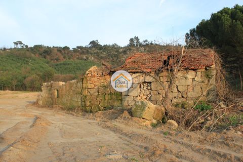 Farm i Viseu, Viseu, Viseu - € 1.900.000 | Ref: TC2533 - foto 19