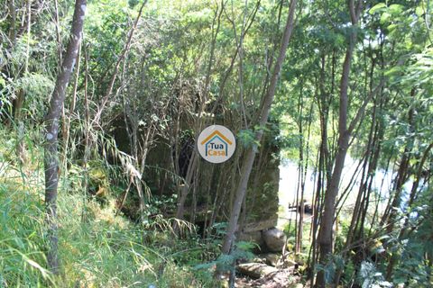 Farm i Viseu, Viseu, Viseu - € 1.900.000 | Ref: TC2533 - foto 20