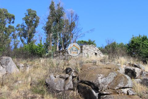 Farm i Viseu, Viseu, Viseu - € 1.900.000 | Ref: TC2533 - foto 21