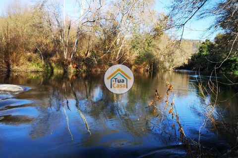 Farm i Viseu, Viseu, Viseu - € 1.900.000 | Ref: TC2533 - foto 23