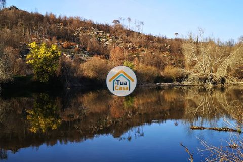 Farm i Viseu, Viseu, Viseu - € 1.900.000 | Ref: TC2533 - foto 24