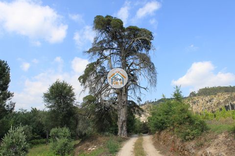 Farm i Viseu, Viseu, Viseu - € 1.900.000 | Ref: TC2533 - foto 25
