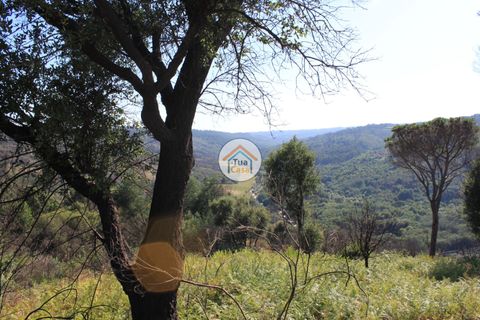 Farm i Viseu, Viseu, Viseu - € 1.900.000 | Ref: TC2533 - foto 26