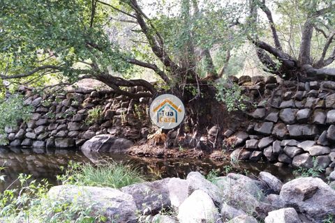 Farm i Viseu, Viseu, Viseu - € 1.900.000 | Ref: TC2533 - foto 27