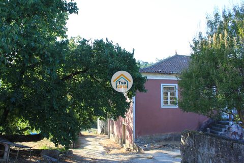 Farm i Viseu, Viseu, Viseu - € 1.900.000 | Ref: TC2533 - foto 28