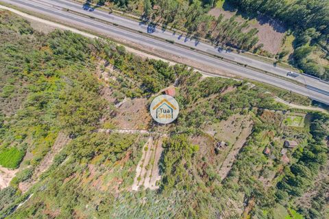 Helårsgrund i Mangualde, Viseu, Mangualde - € 17.000 | Ref: 2TC2839 - foto 3