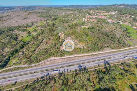 Helårsgrund i Mangualde, Viseu, Mangualde - € 17.000 | Ref: 2TC2839 - foto 4