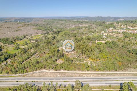 Helårsgrund i Mangualde, Viseu, Mangualde - € 17.000 | Ref: 2TC2839 - foto 5