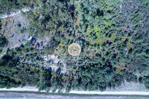 Helårsgrund i Mangualde, Viseu, Mangualde - € 17.000 | Ref: 2TC2839 - foto 6