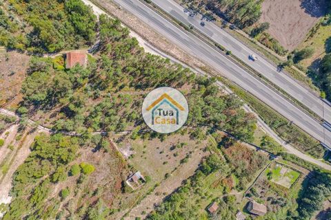 Helårsgrund i Mangualde, Viseu, Mangualde - € 17.000 | Ref: 2TC2839 - foto 10