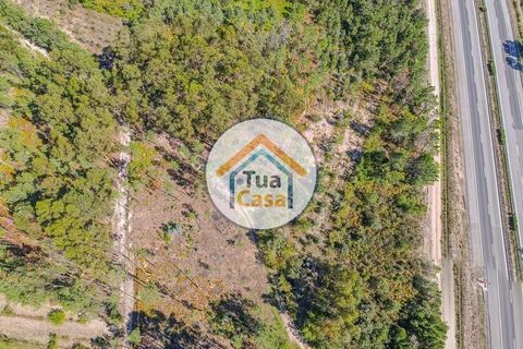 Helårsgrund i Mangualde, Viseu, Mangualde - € 17.000 | Ref: 2TC2839 - foto 11