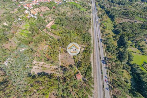 Helårsgrund i Mangualde, Viseu, Mangualde - € 17.000 | Ref: 2TC2839 - foto 12