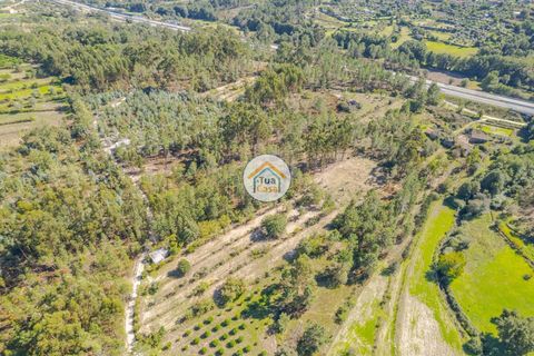 Helårsgrund i Mangualde, Viseu, Mangualde - € 17.000 | Ref: 2TC2840 - foto 2
