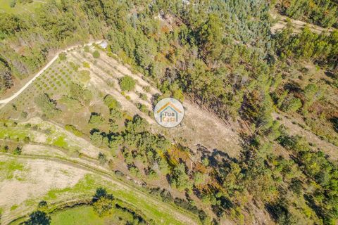Helårsgrund i Mangualde, Viseu, Mangualde - € 17.000 | Ref: 2TC2840 - foto 3