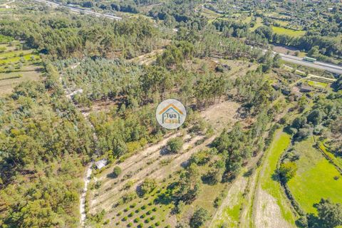 Helårsgrund i Mangualde, Viseu, Mangualde - € 17.000 | Ref: 2TC2840 - foto 4