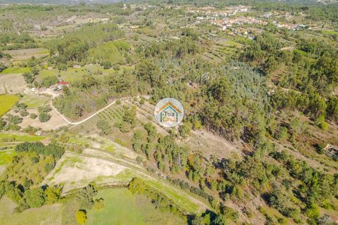 Helårsgrund i Mangualde, Viseu, Mangualde - € 17.000 | Ref: 2TC2840 - foto 6