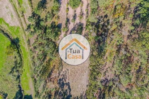Helårsgrund i Mangualde, Viseu, Mangualde - € 17.000 | Ref: 2TC2840 - foto 7